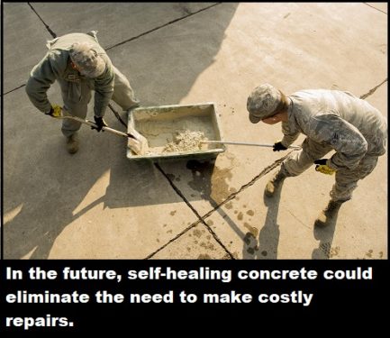 160113 F WH816 135 433x375 160113 F WH816 135 433x375