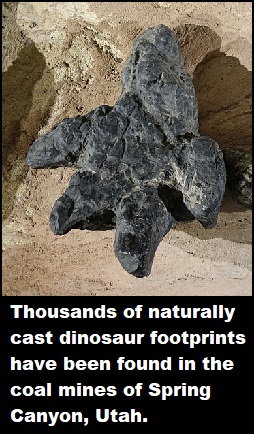 800px Ceratopsian tracks blackhawk formation price 3 800px Ceratopsian tracks blackhawk formation price 3