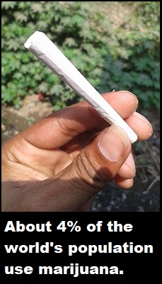 Marijuana Joint