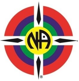 NA logo2 264x300 1