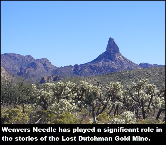 Weaversneedle Weaversneedle