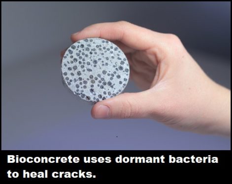 concrete 471x375 concrete 471x375